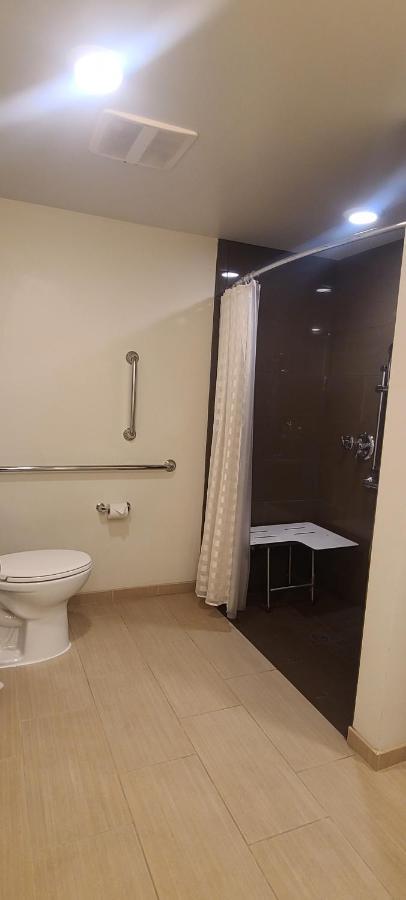 King Studio Kitchen Walk Shower Disability Access