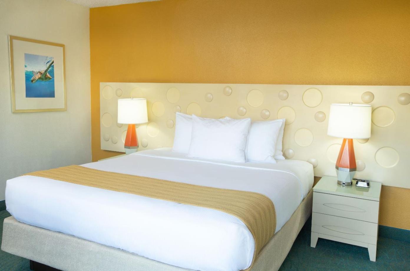 Mountain View King Room