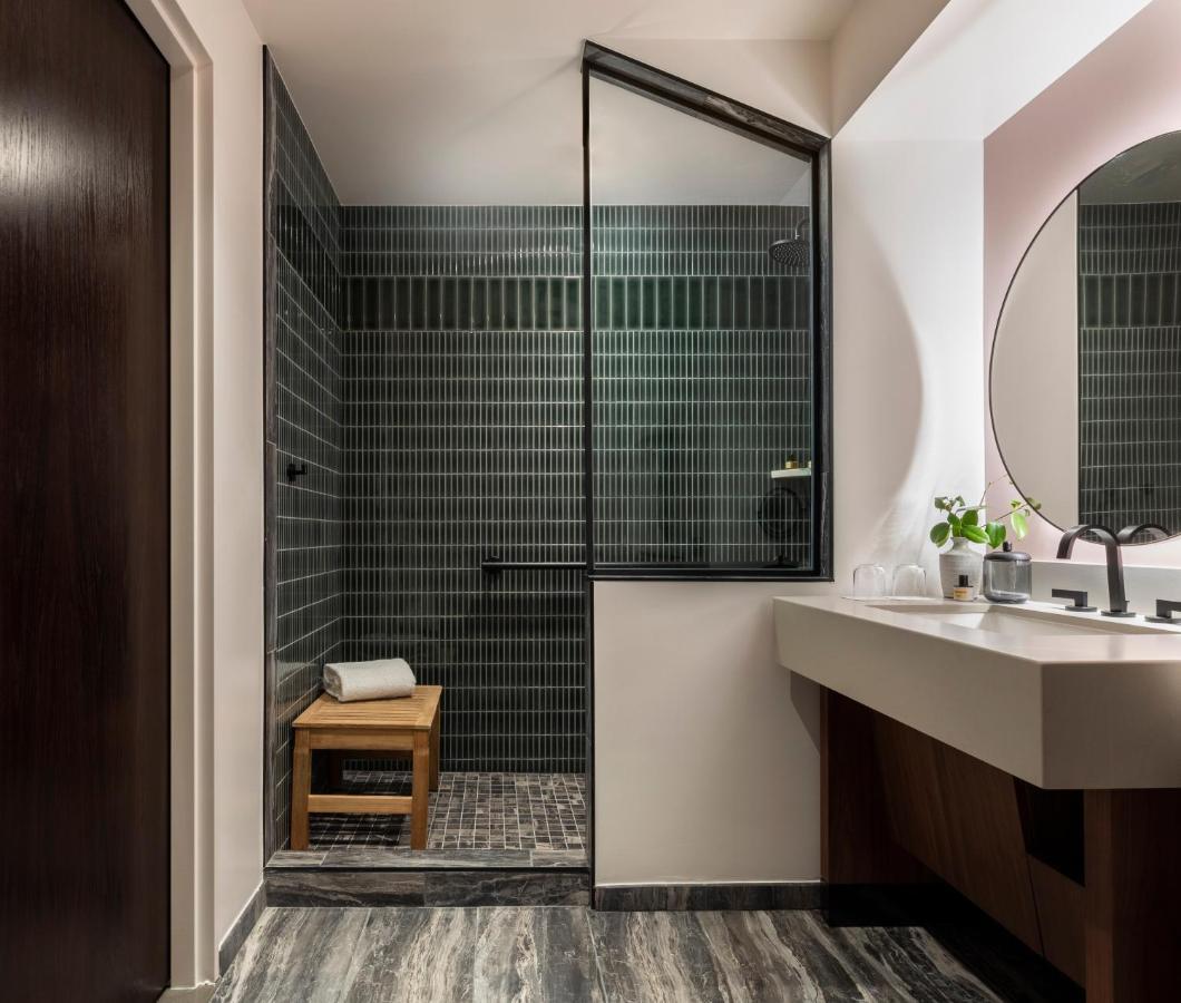 King Room Accessible Shower Grab Bar