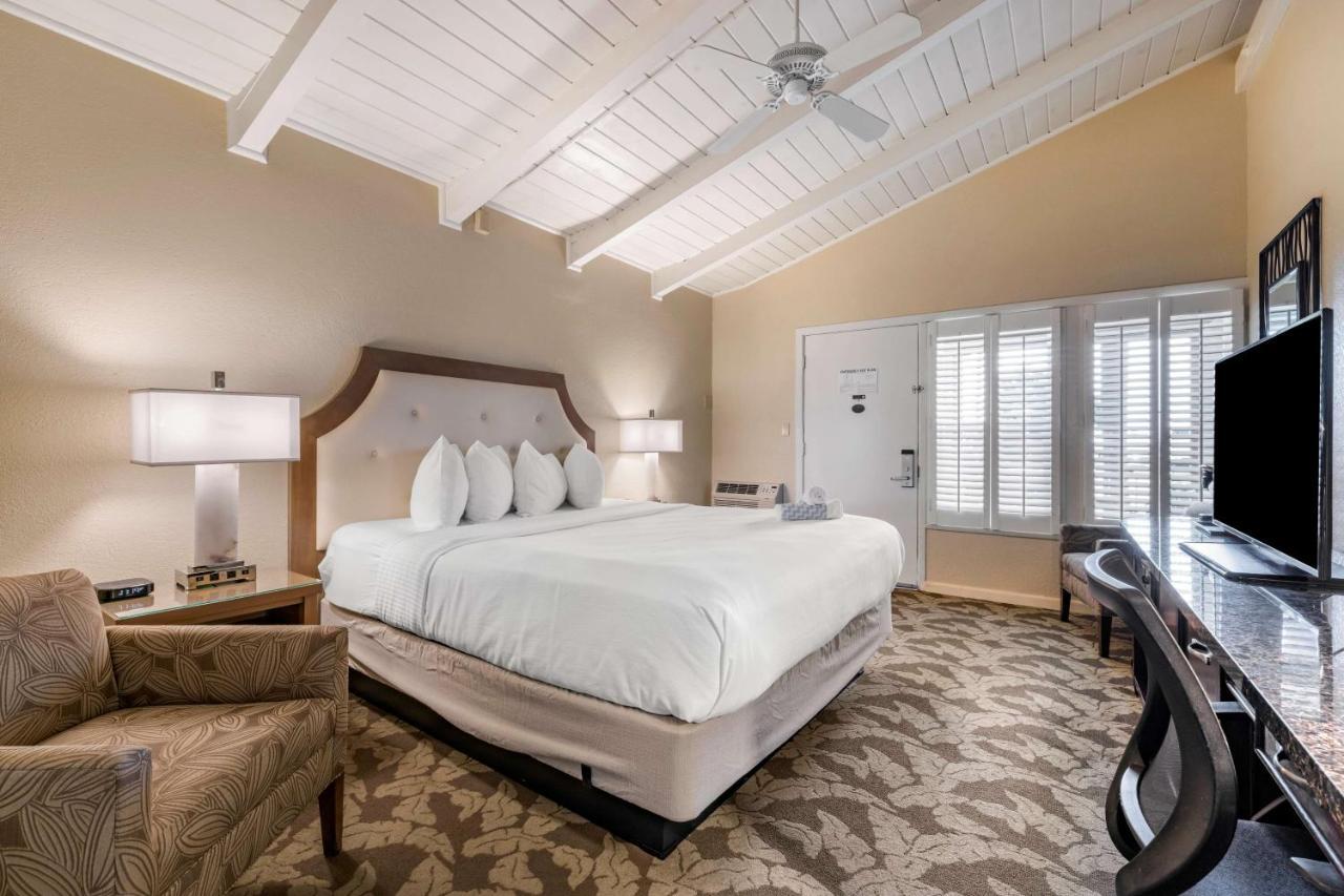 Standard King Room