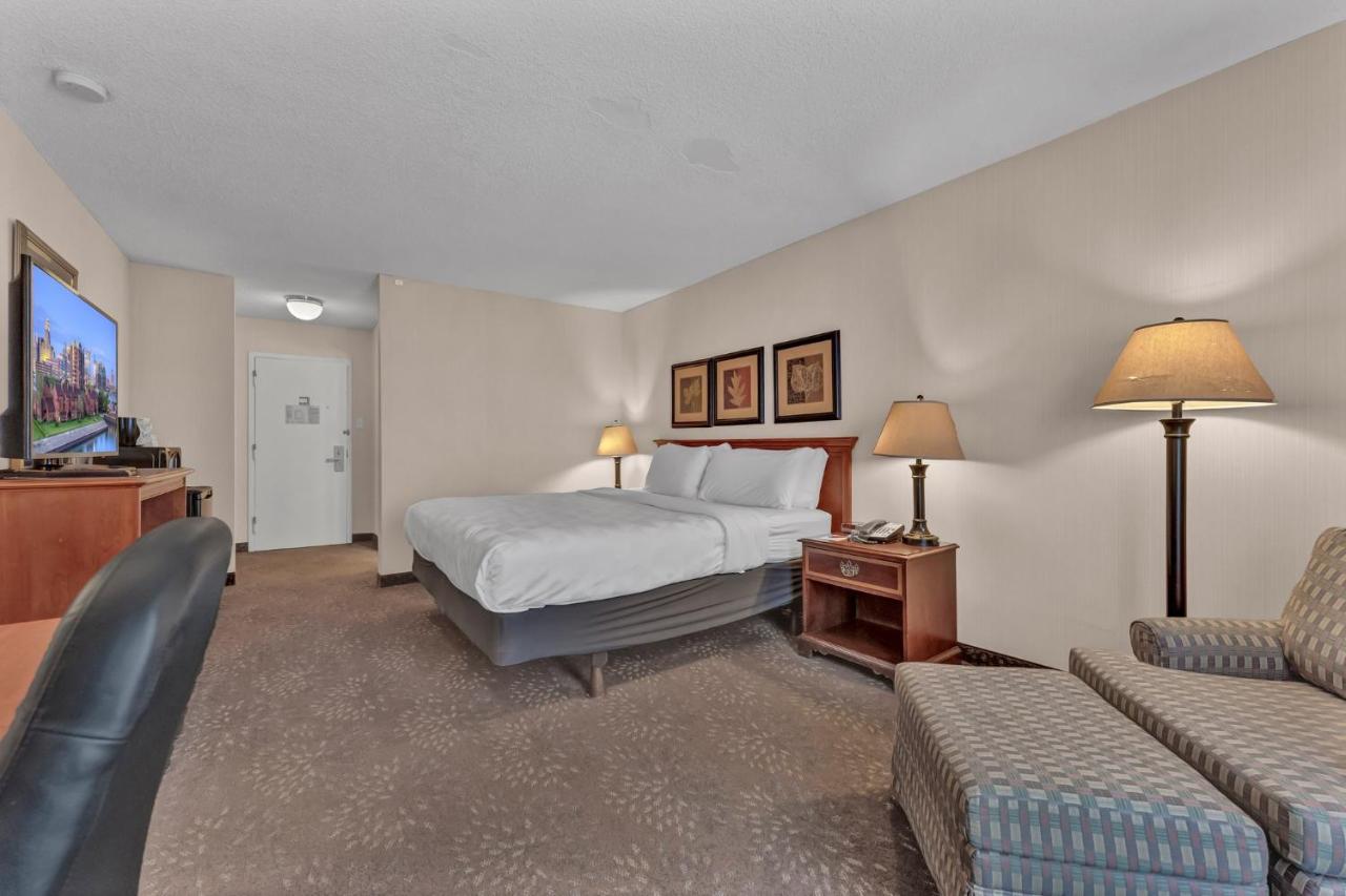King Room,1399314479:JPEG