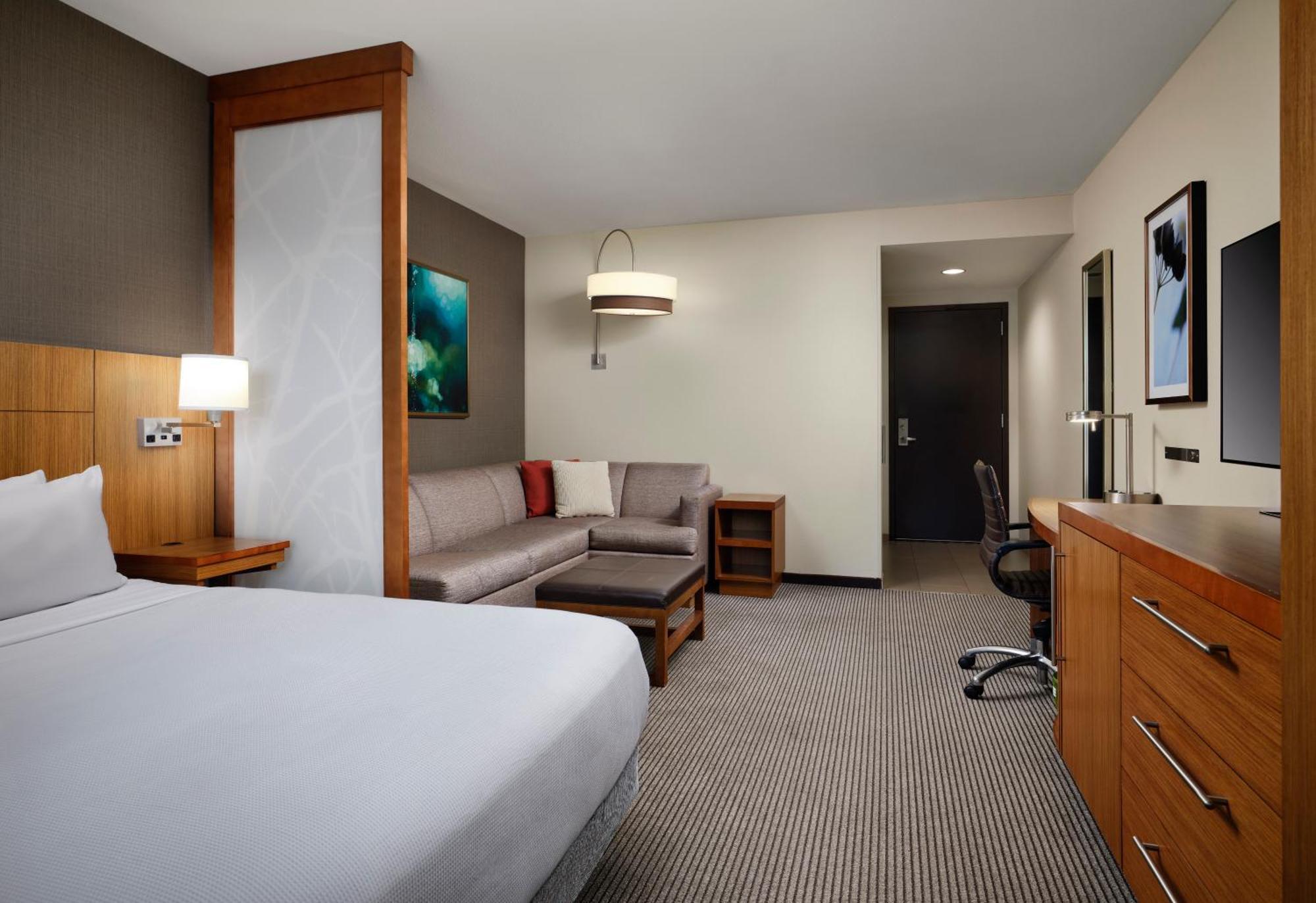 King Room Sofa Bed Mountain View