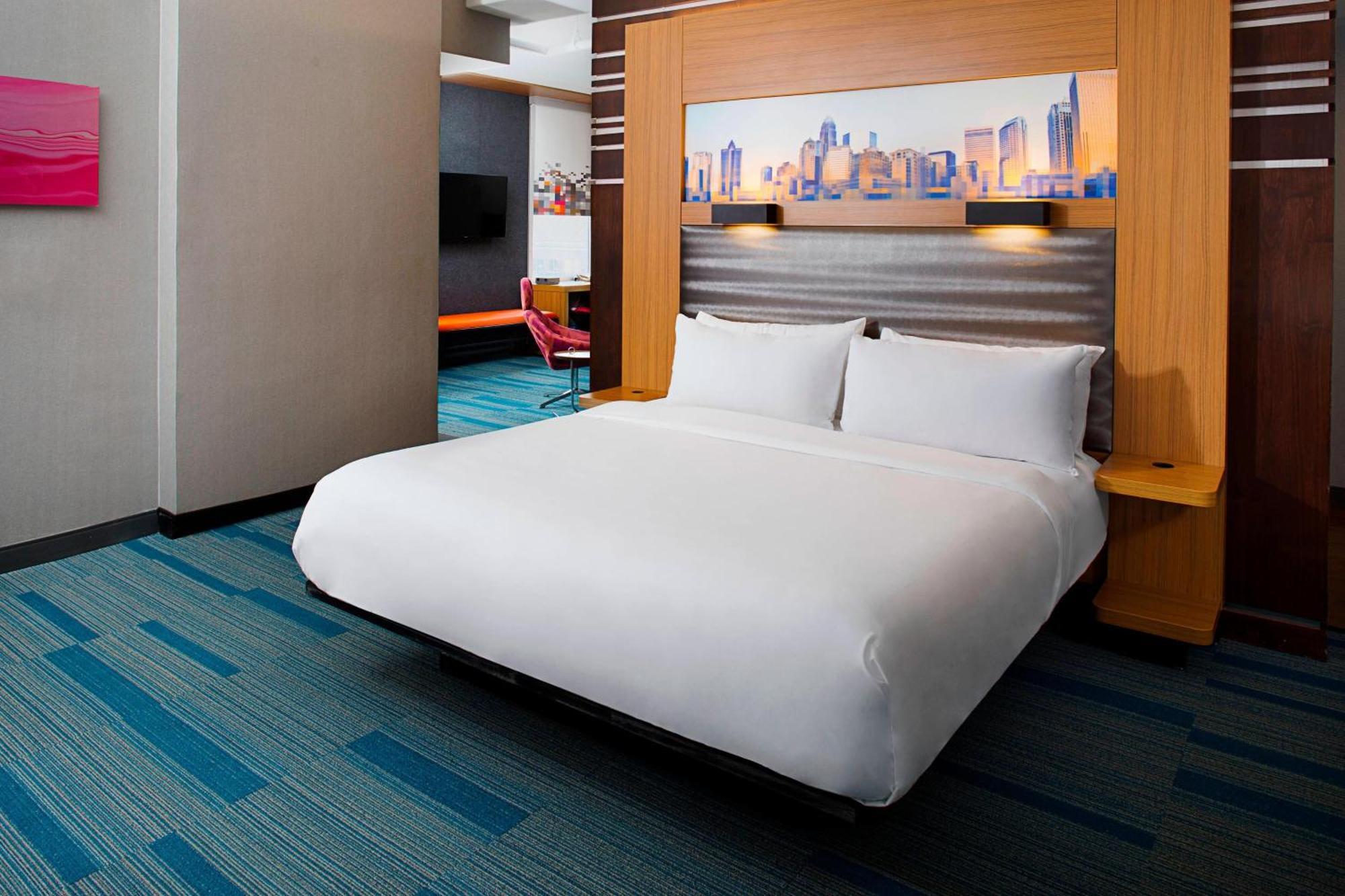 Studio King Bed Bathtub Mobility Access