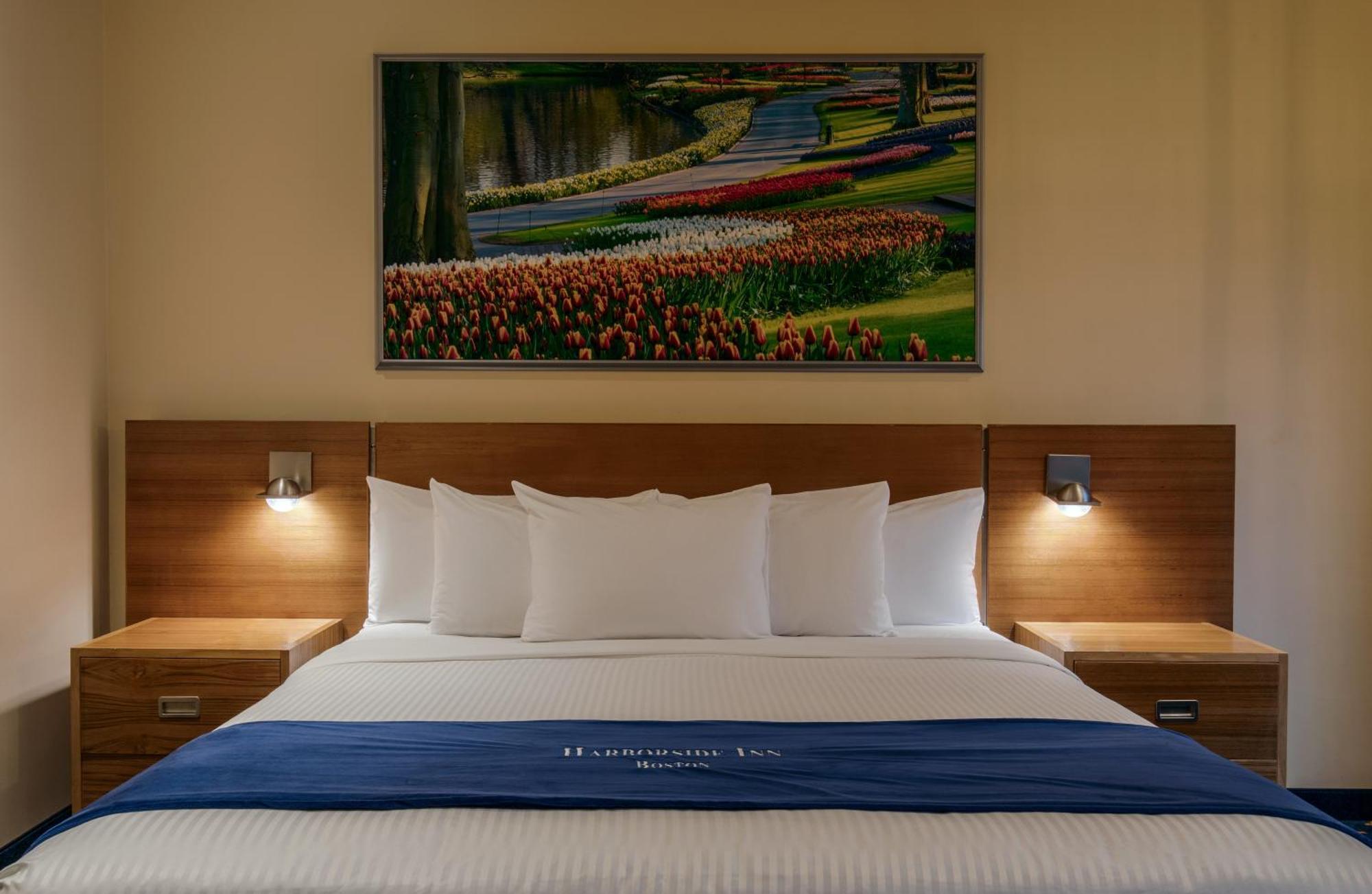 King Room City View