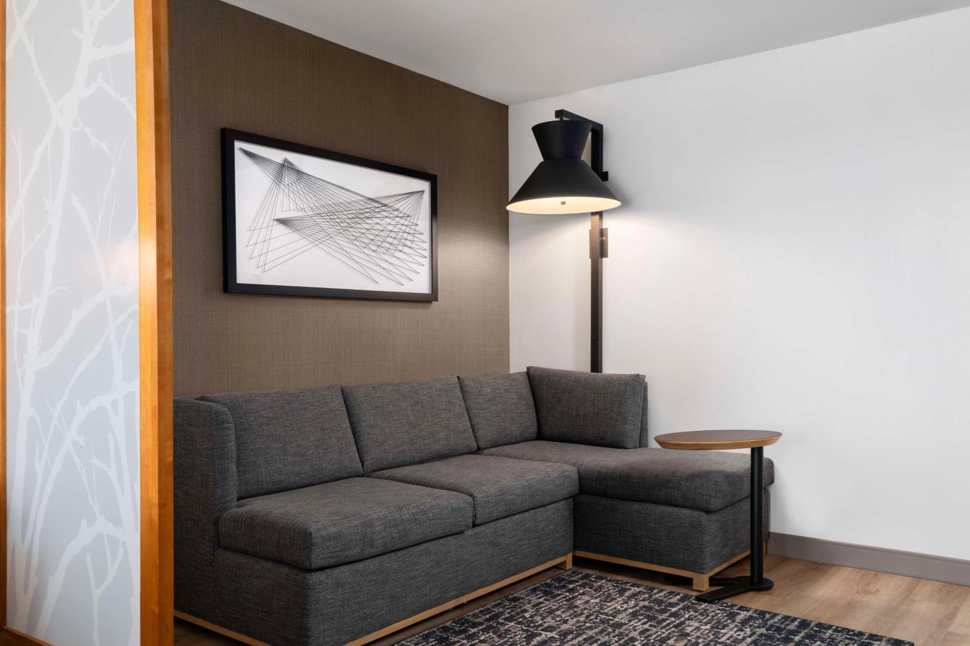 King Room Sofa Bed