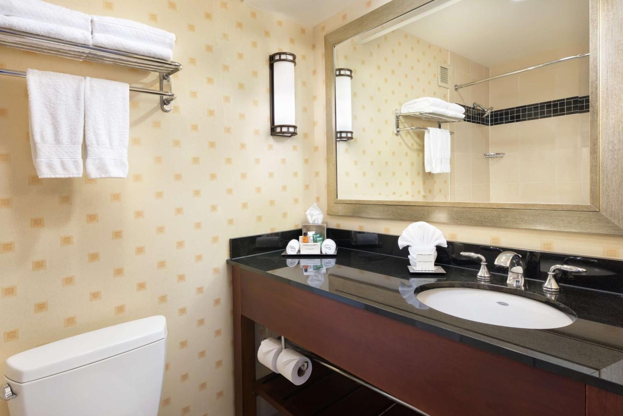 King Room Bath Tub Runway View Disability Access