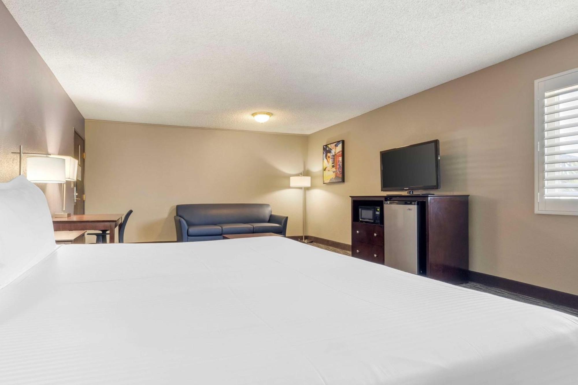 Executive King Room with Sofa Bed