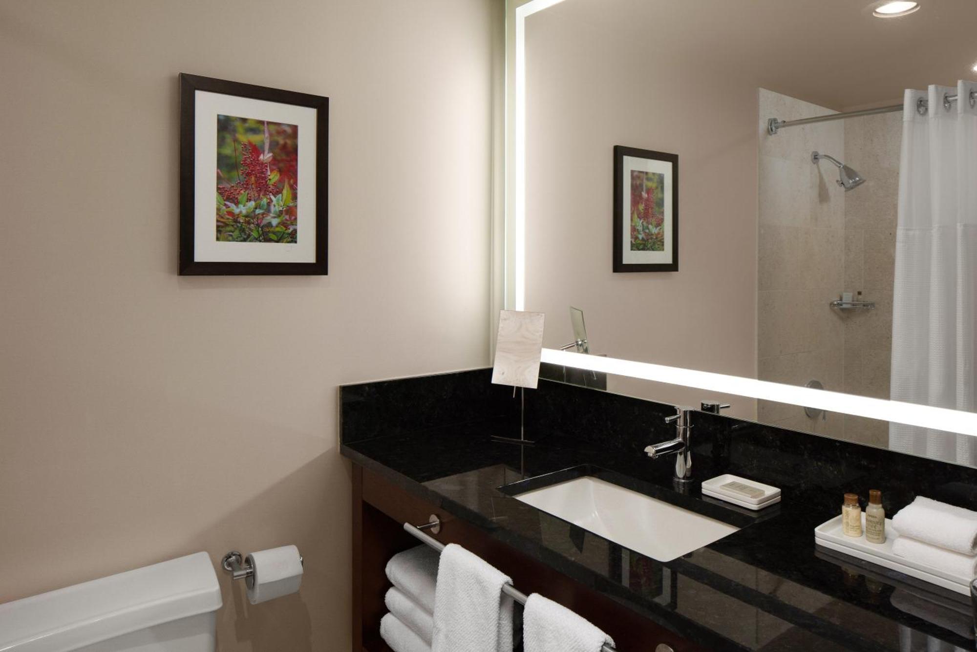 One-Bedroom King Suite