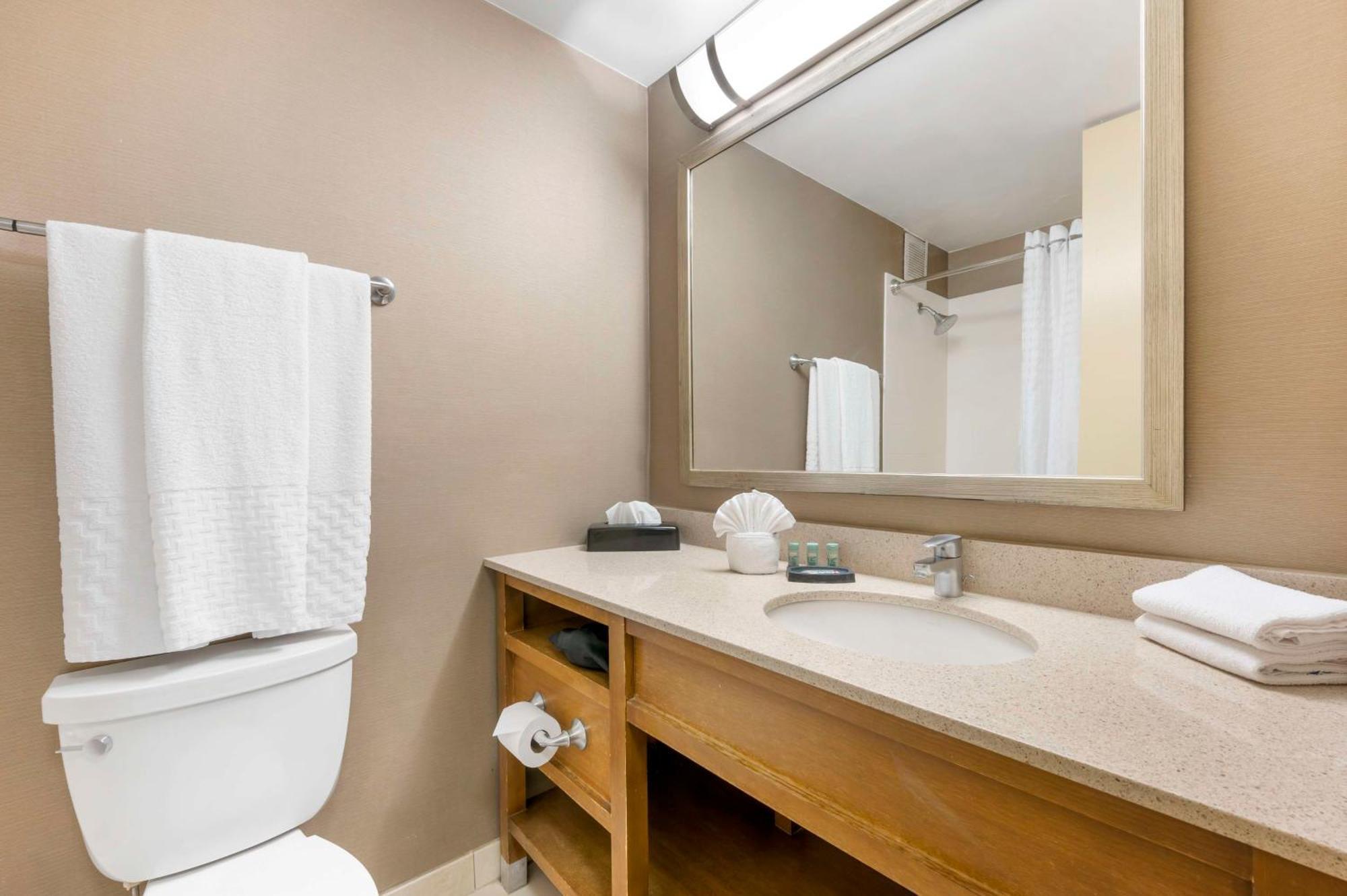 King Suite with Sofa Bed - Non-Smoking