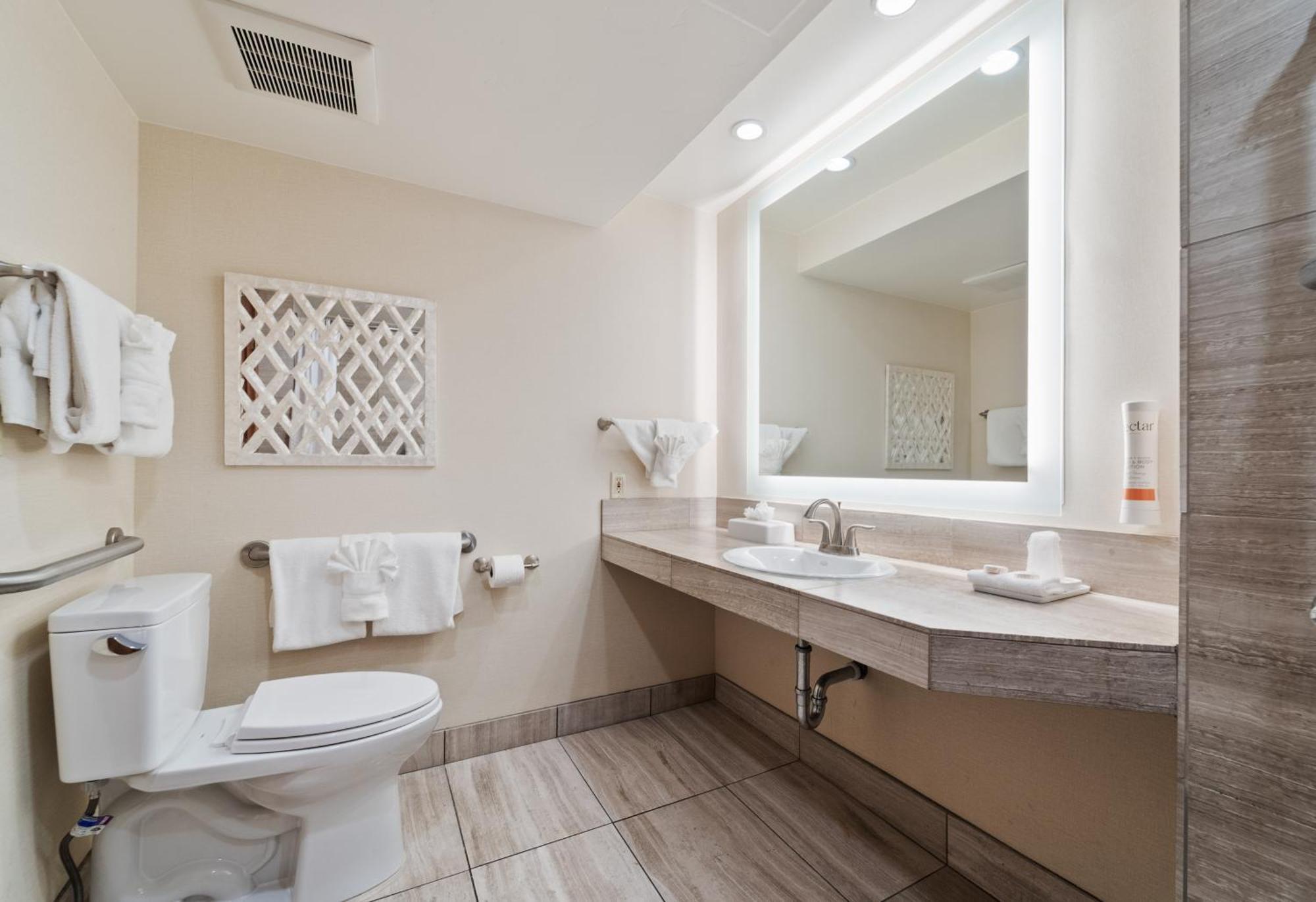 Standard Queen Non View Accessible Room