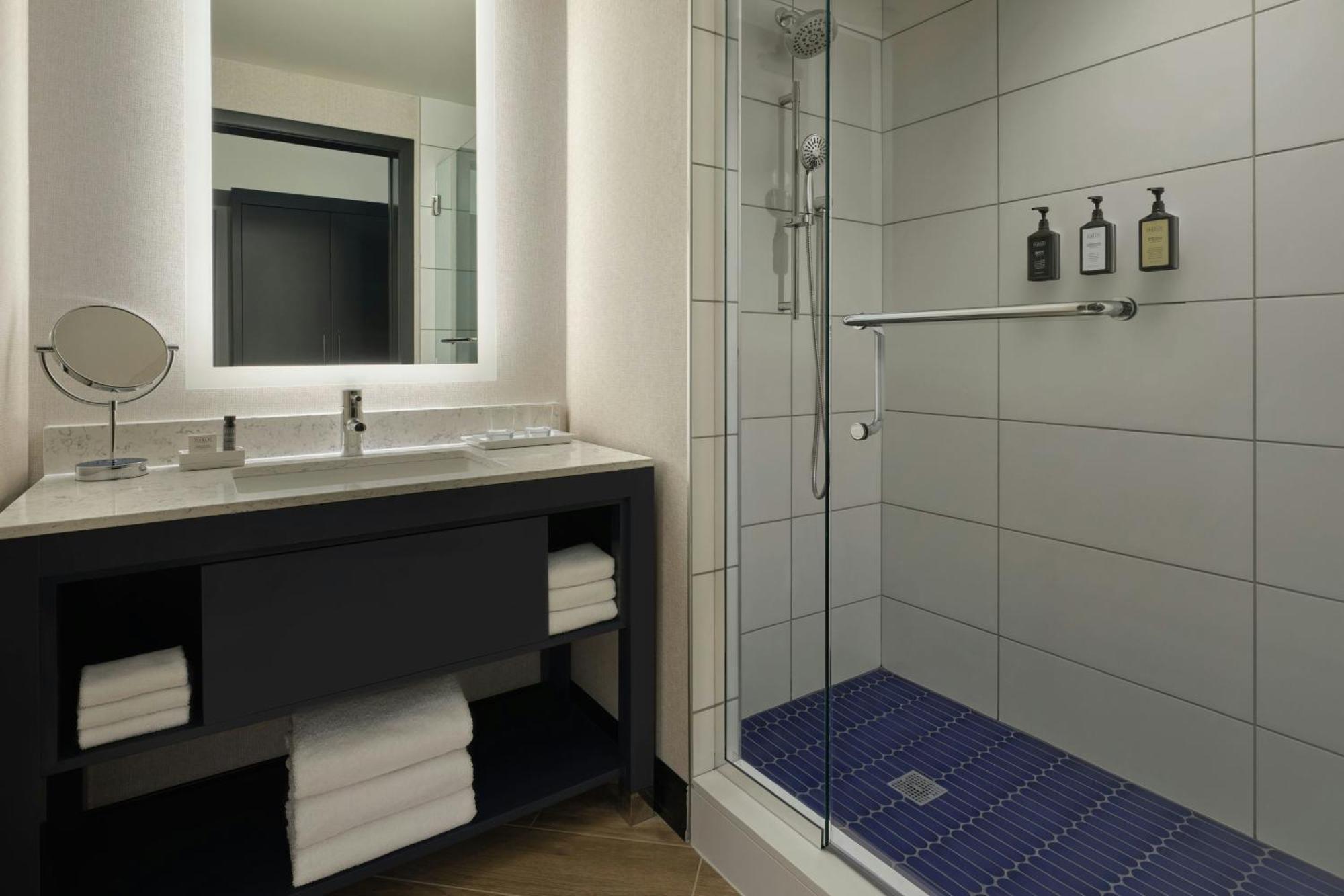 Executive King Room Sofa Bed City View Hearing Accessible