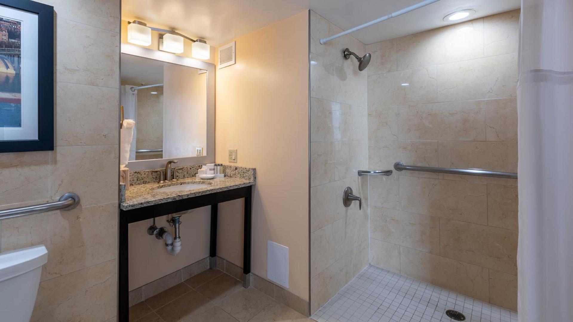 King Room Disability Access