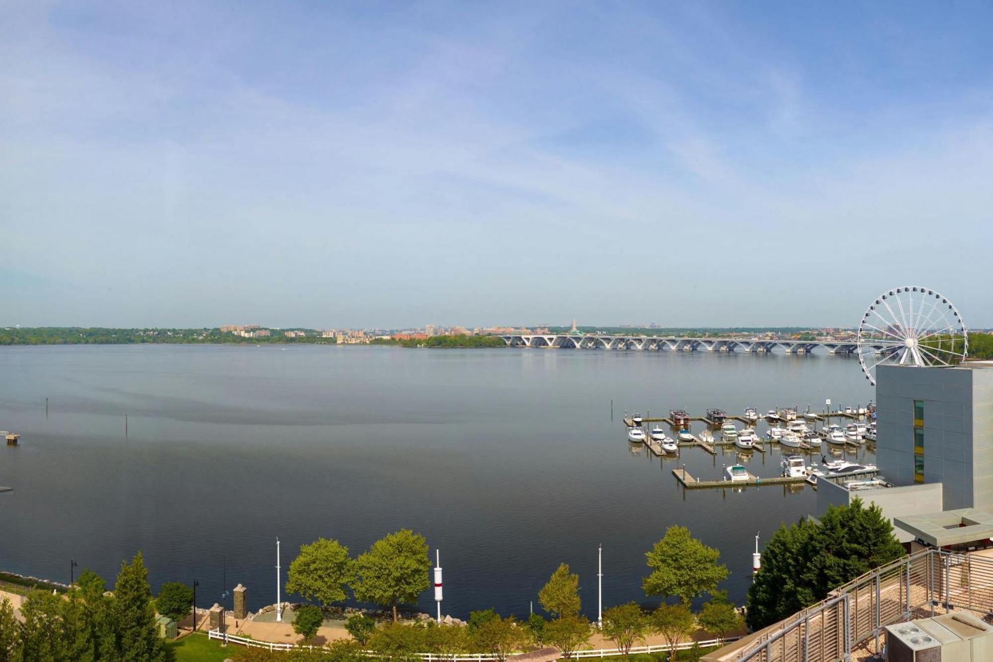 1 Bedroom Suite 1 King Sofa bed Potomac River view