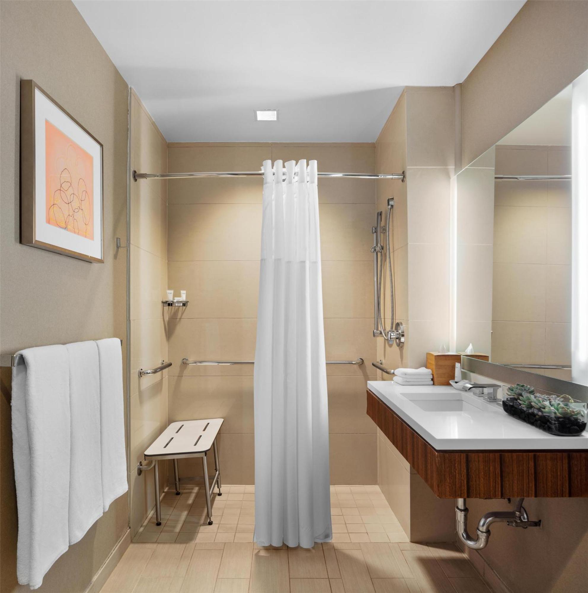 King Room Roll Shower Disability Access