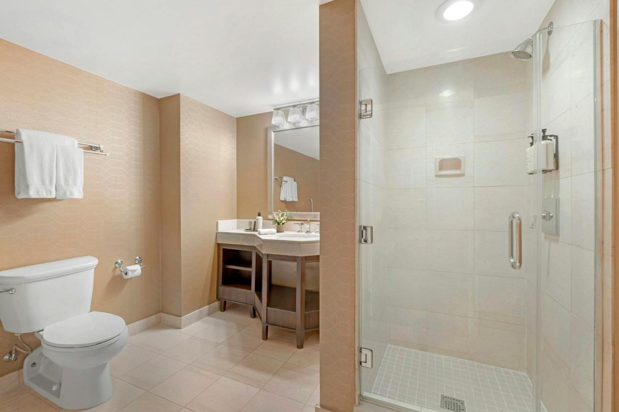 Premier View Room 1 King Bed