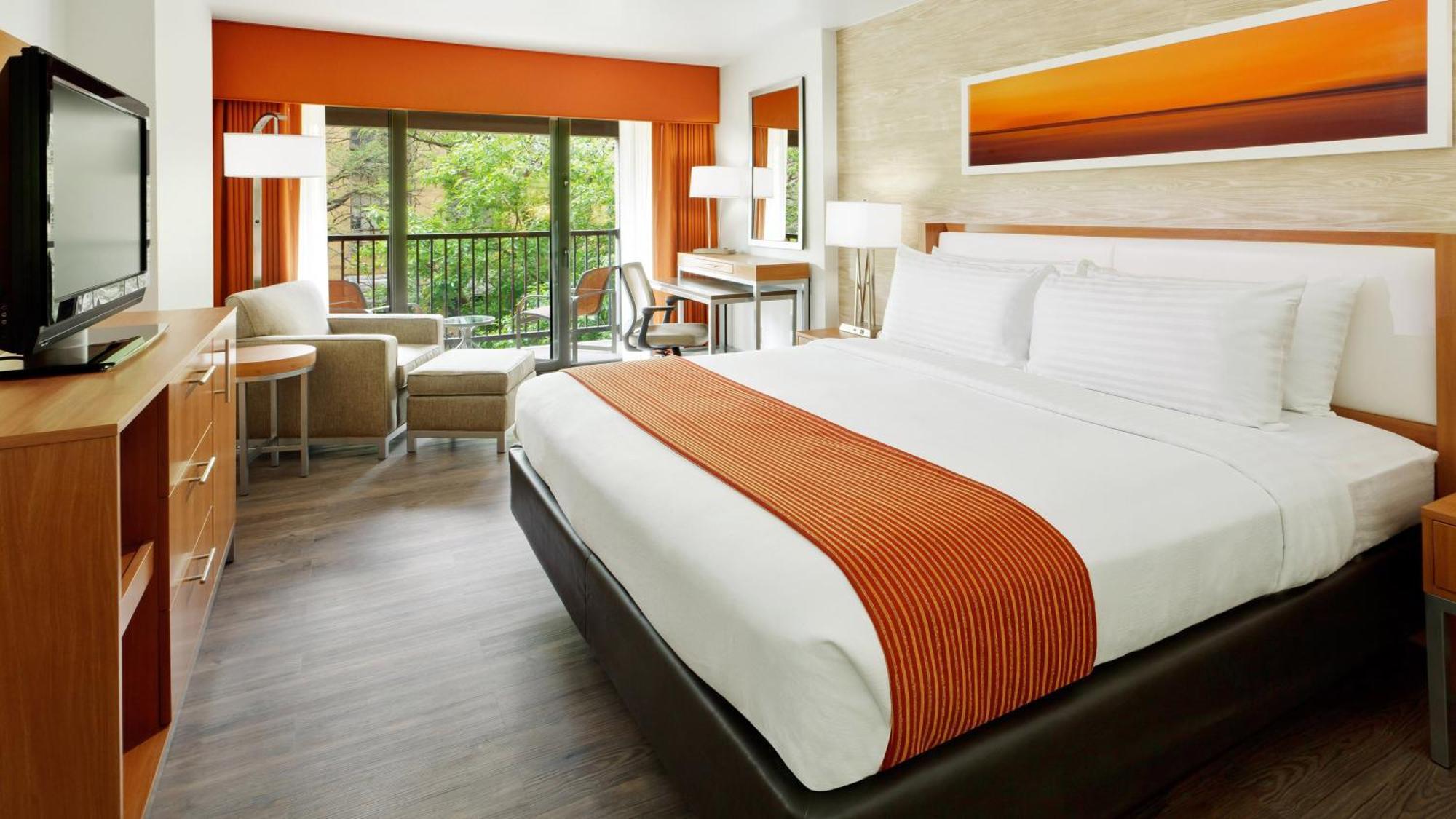 Standard King Room with River View