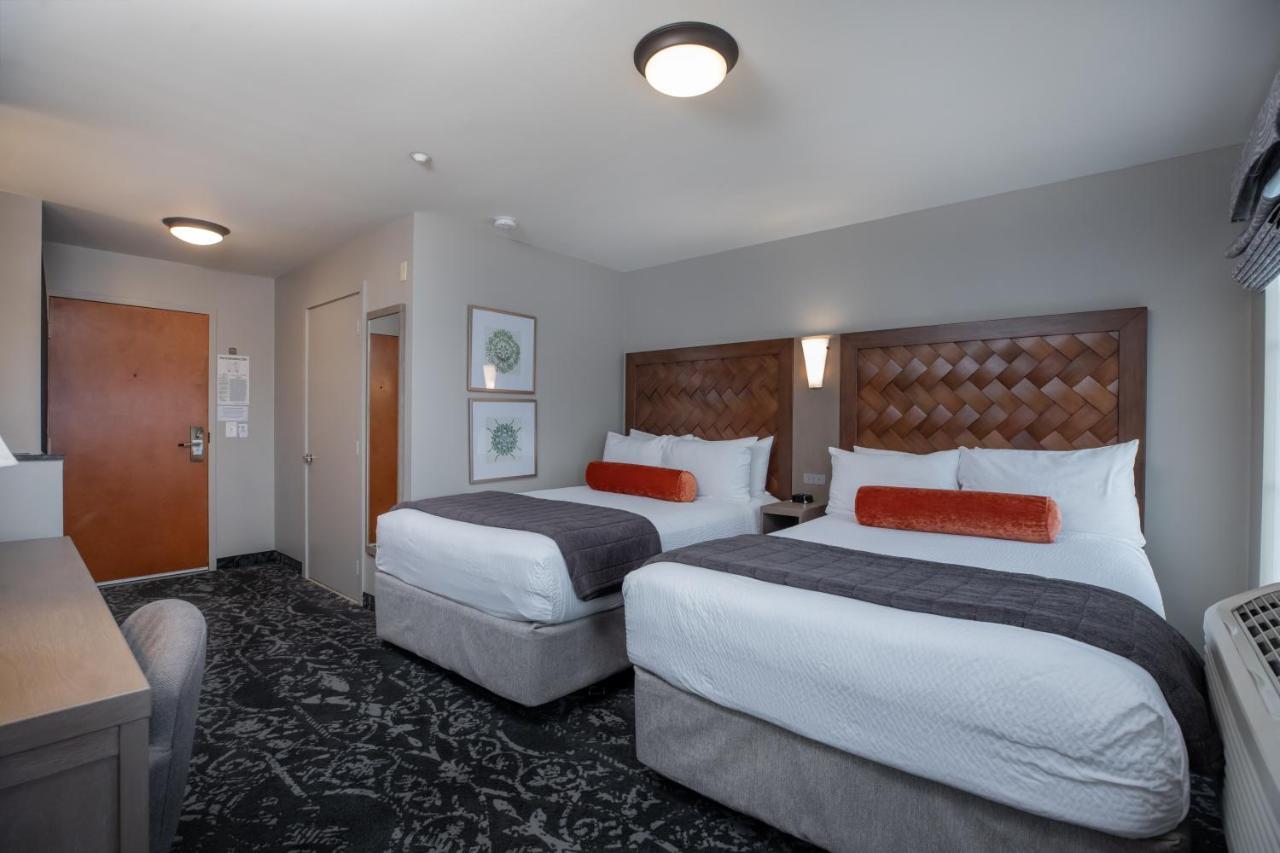 Double Room Two Double Beds