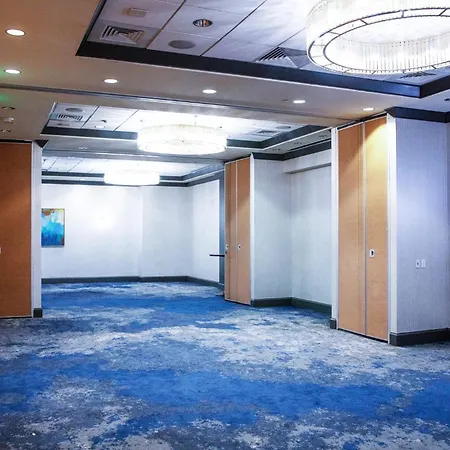 Crowne Plaza Dallas Downtown By Ihg-2